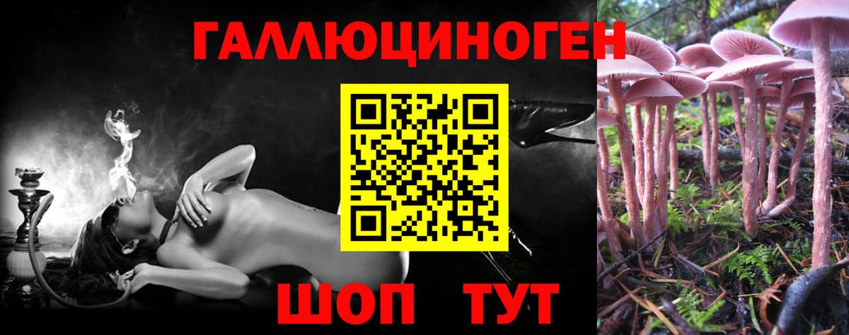 Галлюциногенные грибы GOLDEN TEACHER  Вход с VPN  Майский 